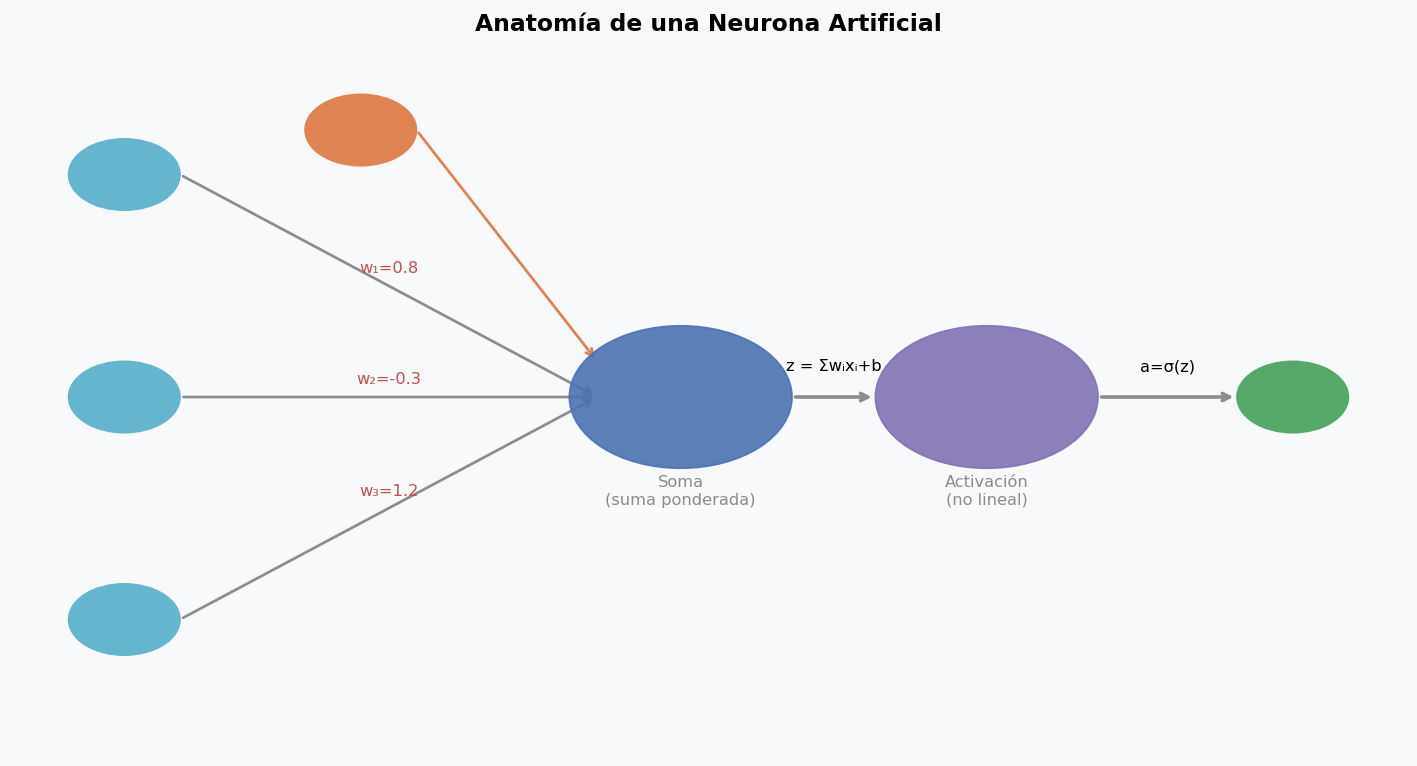 Anatomia de una neurona artificial