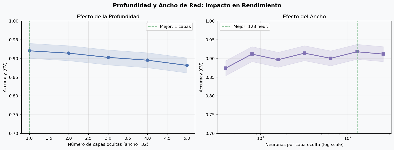 Profundidad y ancho de la red