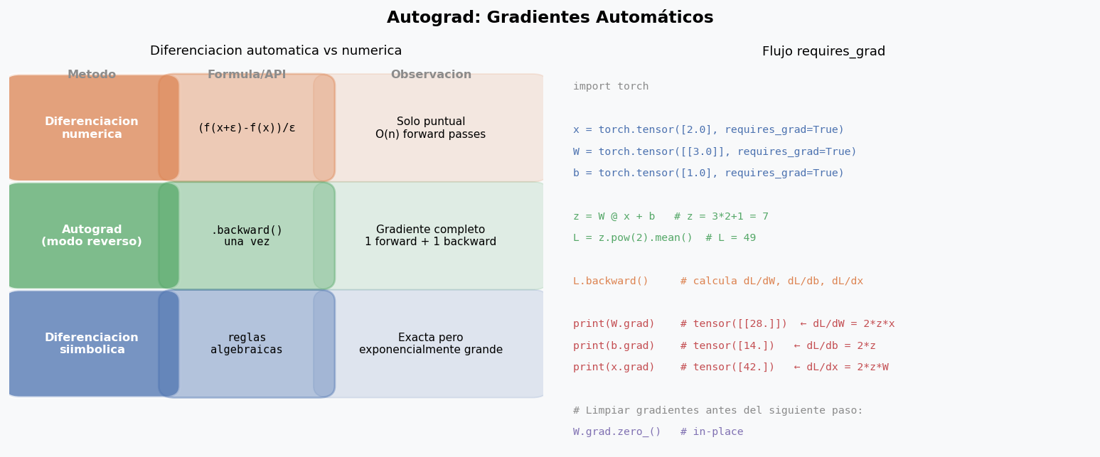 Autograd: grafo computacional y diferenciacion
