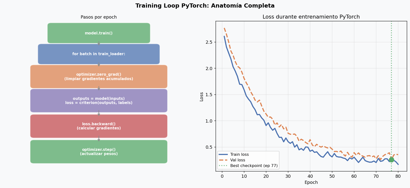 Training loop: anatomia y curvas de loss