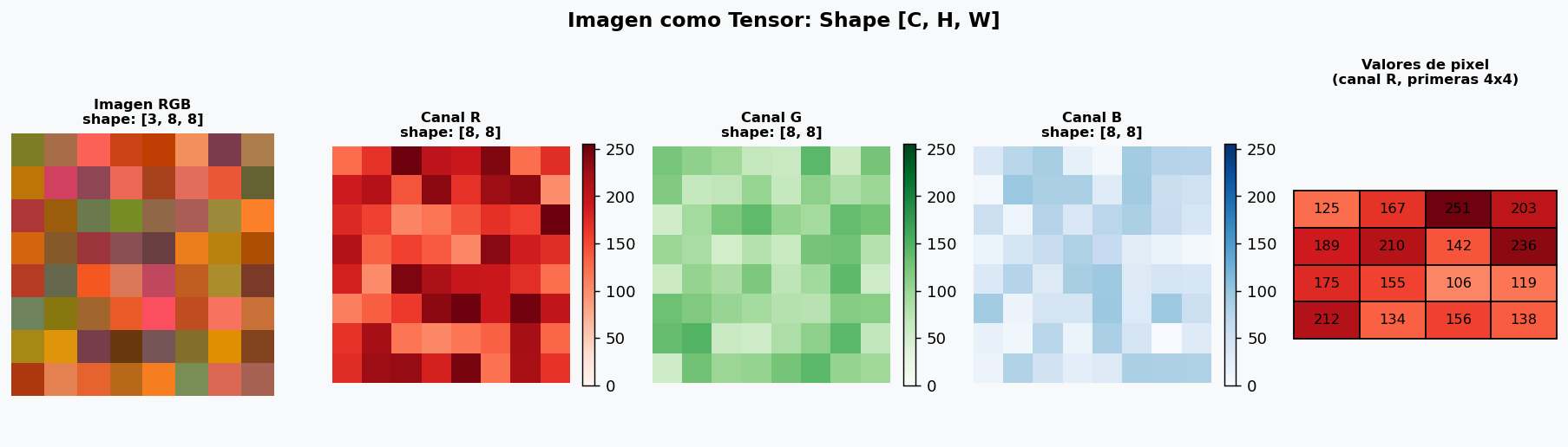 Imagen como tensor RGB con canales separados