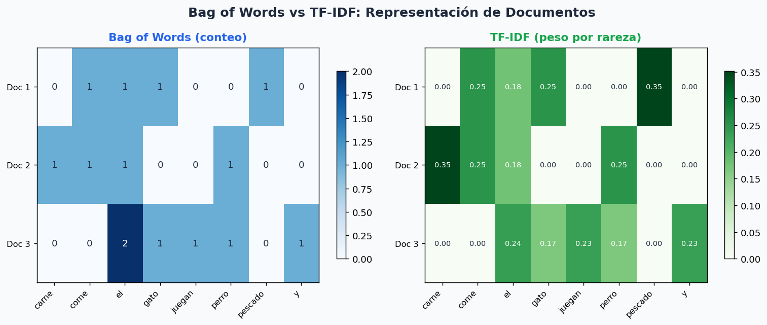 BoW vs TF-IDF: comparacion de matrices de representacion