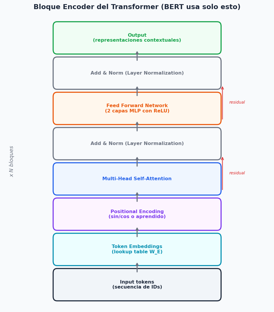 Bloques del Transformer Encoder: de tokens a representaciones contextuales